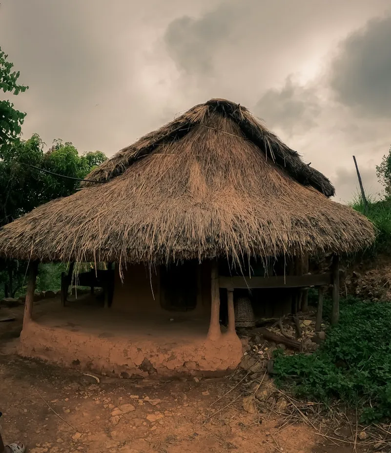 a hut with a thatched roof in a field. nigeria architecture design
